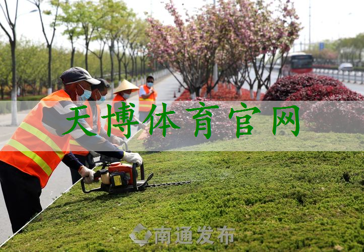 宁德市政道路绿化