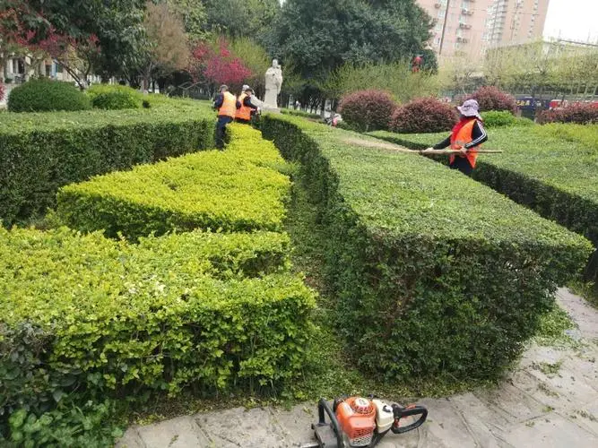 大型室外园林景观设计