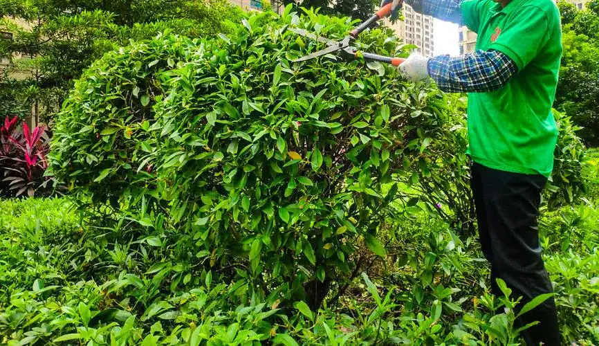 办公顶楼园林景观设计